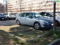 Terni usl2 parcheggio alberi radici buche (12)