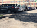 Terni usl2 parcheggio alberi radici buche (13)