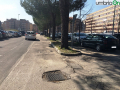 Terni usl2 parcheggio alberi radici buche (16)