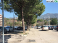 Terni usl2 parcheggio alberi radici buche (5)