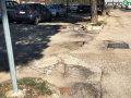 Terni usl2 parcheggio alberi radici buche (6)