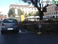 Terni piazza Tacito rami tagliati (11)