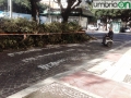 Terni piazza Tacito rami tagliati (4)