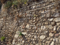 terni rocca san zenone mura degrado (12)