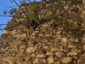 terni rocca san zenone mura degrado (6)