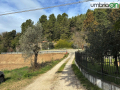 terni-rotonda-svincolo-san-carlo-4