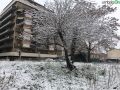 terni neve 26 febbraio 2018 (29)