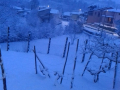 terni neve 26 febbraio (social) (5)