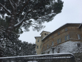 terni neve (social) (15)