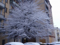 terni neve social (15)