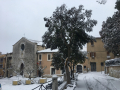 terni neve (social) (17)