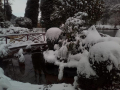 terni neve social (18)