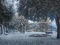 terni neve social (20)