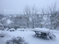 terni neve (social) (24)