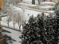 terni neve (social) (34)