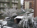 terni neve (social) (8)