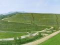Terni Ast Tk-Ast progetto discarica (3)