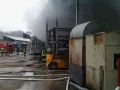 Celi incendio2 (1)