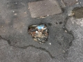 Terni via san vincenzo degrado (6)