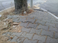 terni viale prati ponte allende marciapiede degrado (16)