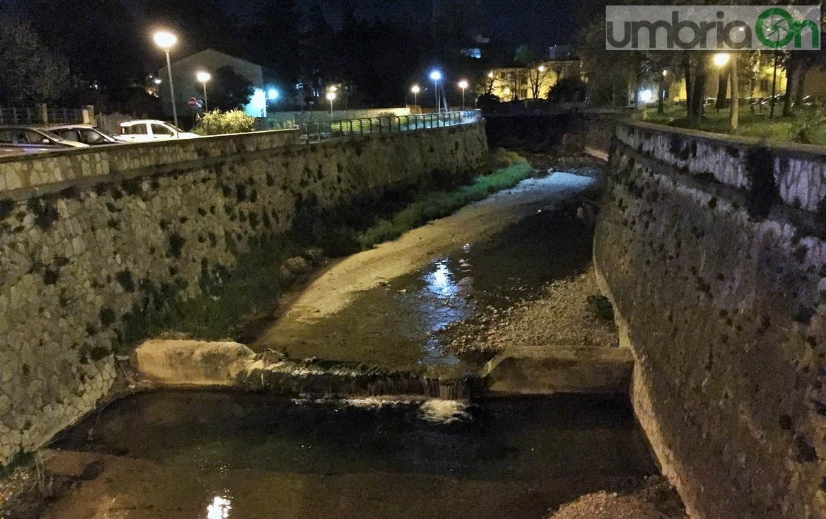 Tunisino si getta nel torrente Serra, carabinieri e vigili del fuoco - 31 marzo 2016 (9)