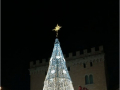 albero