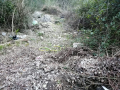 valserra-rifiuti-discarica-20210301-WA0033