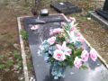 tombe distrutte cimitero castiglione 4