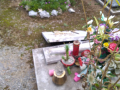 tombe distrutte cimitero castiglione 5