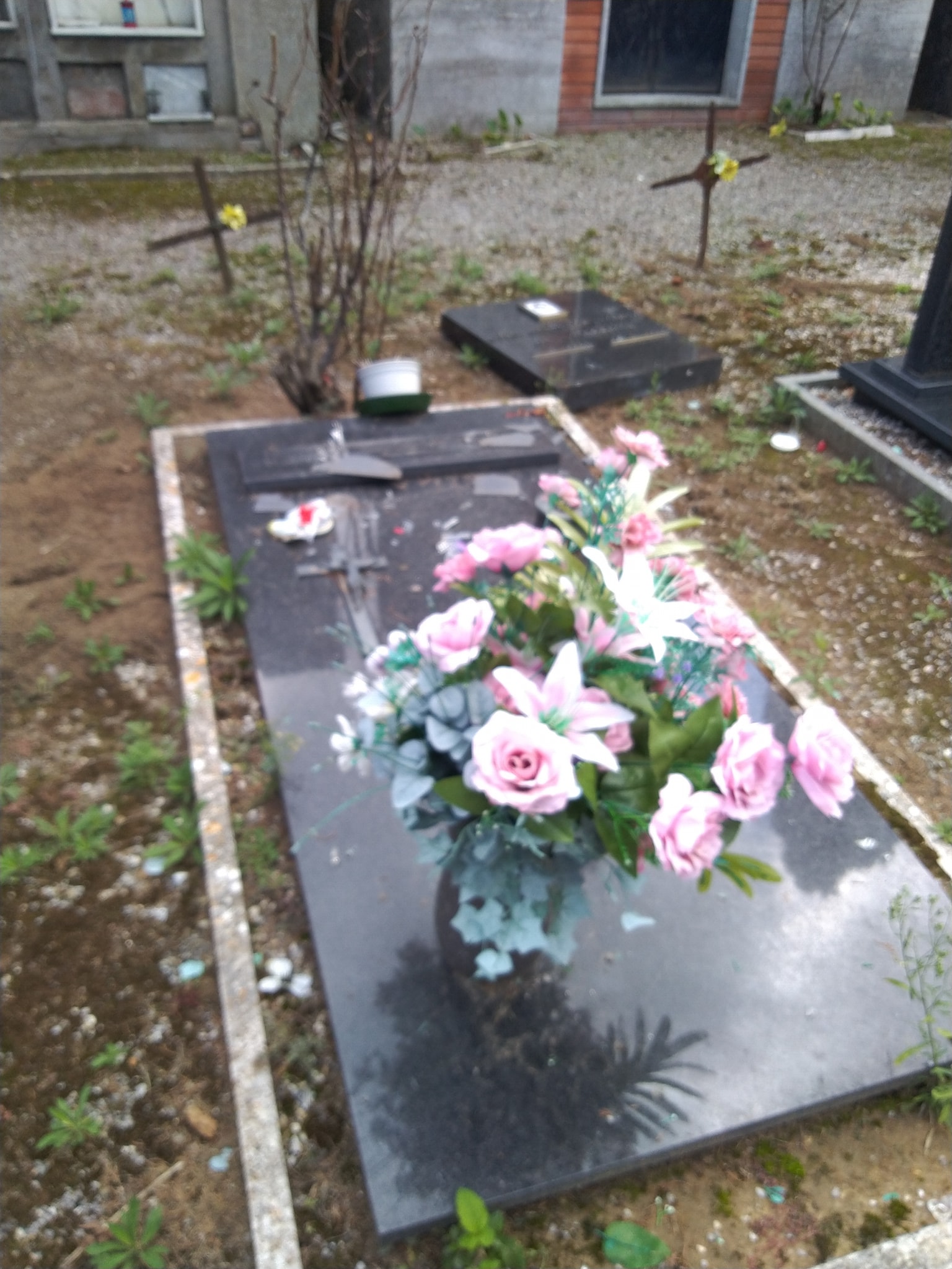 tombe distrutte cimitero castiglione 4