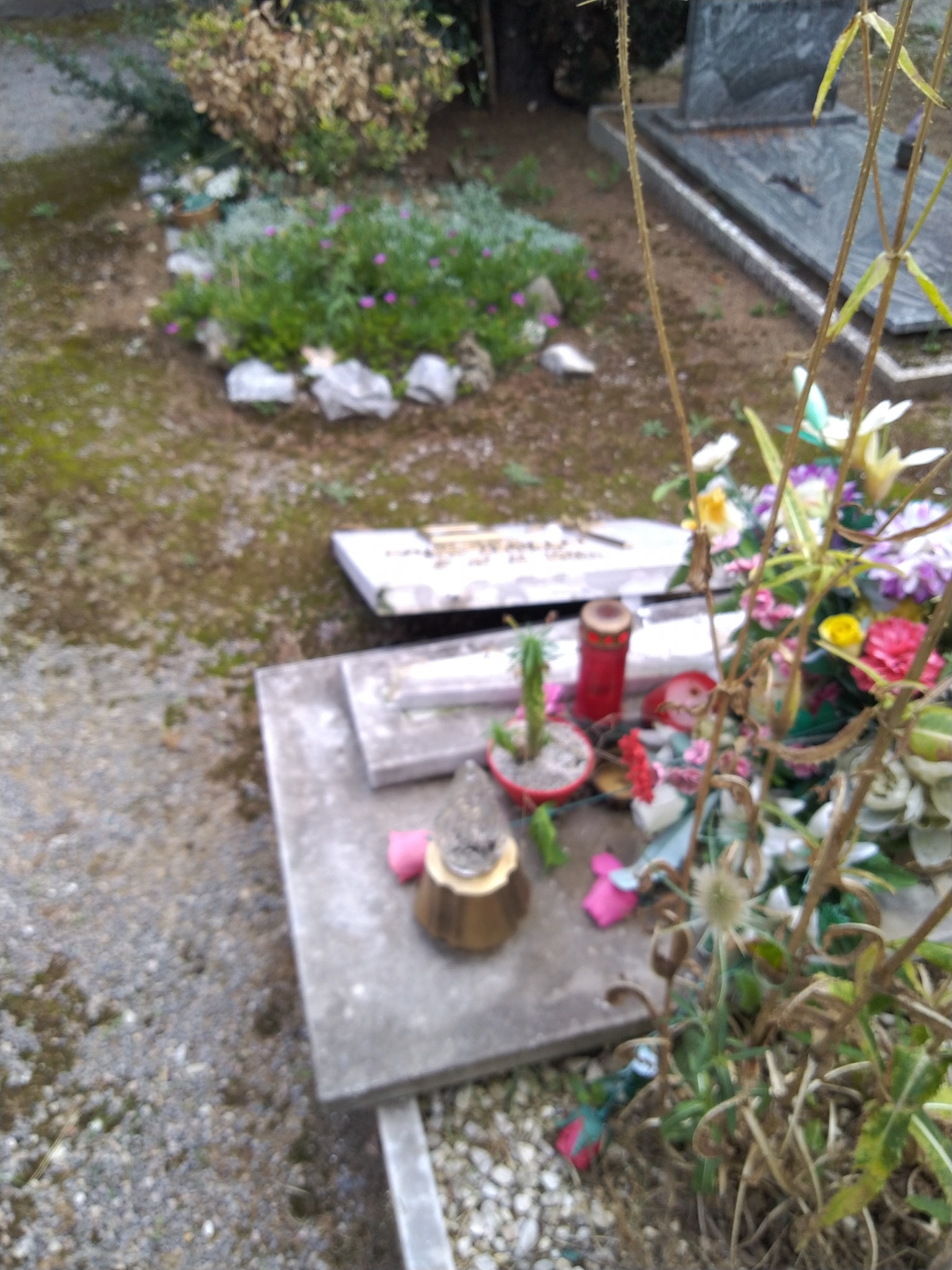 tombe distrutte cimitero castiglione 5