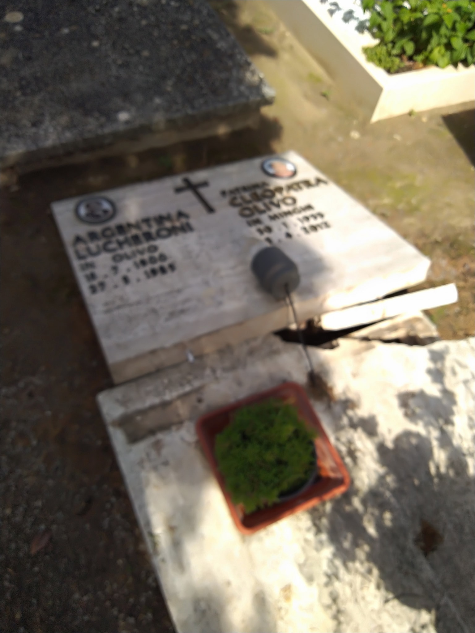 tombe distrutte cimitero castiglione 7