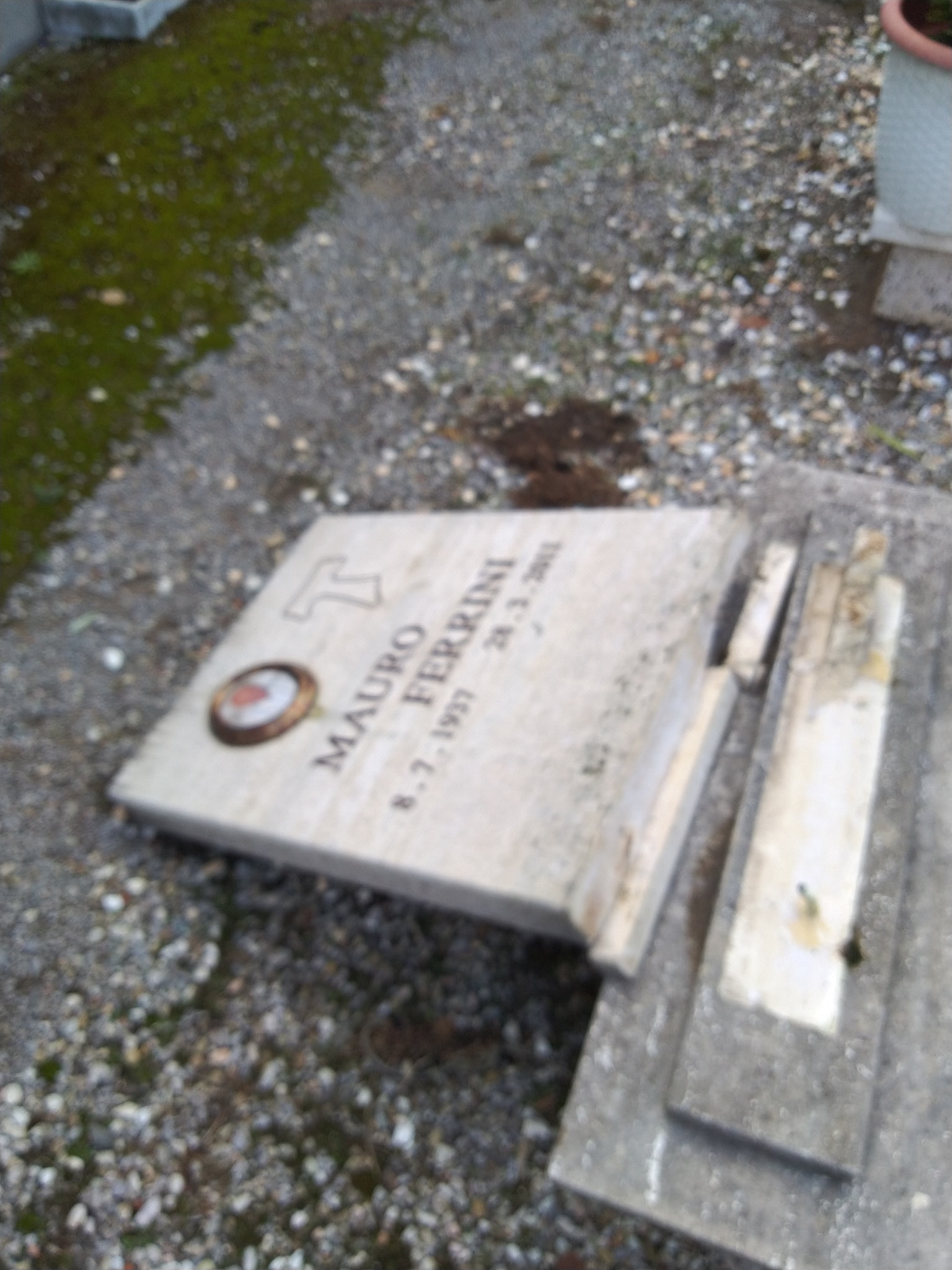 tombe distrutte cimitero castiglione 8