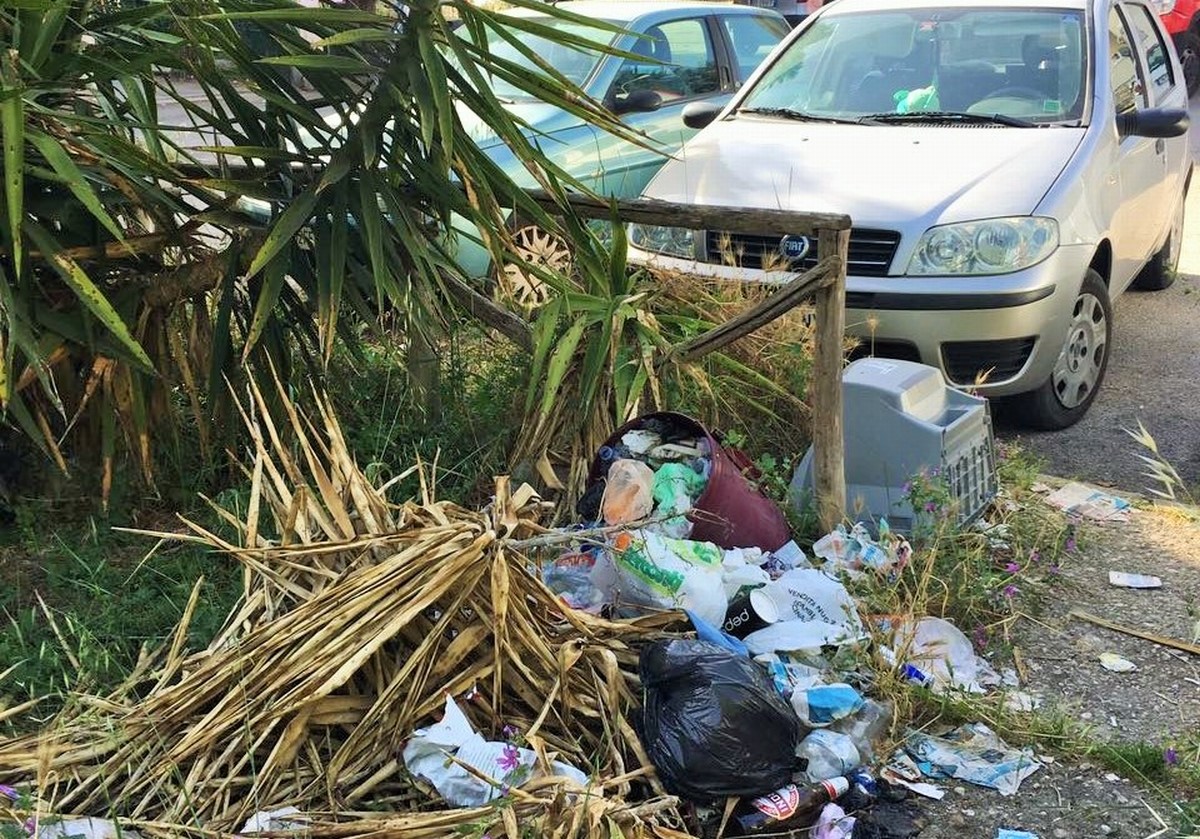 Rifiuti, degrado, sporcizia giardini pubblici via Monterotondo, Terni - 6 maggio 2017 (3)