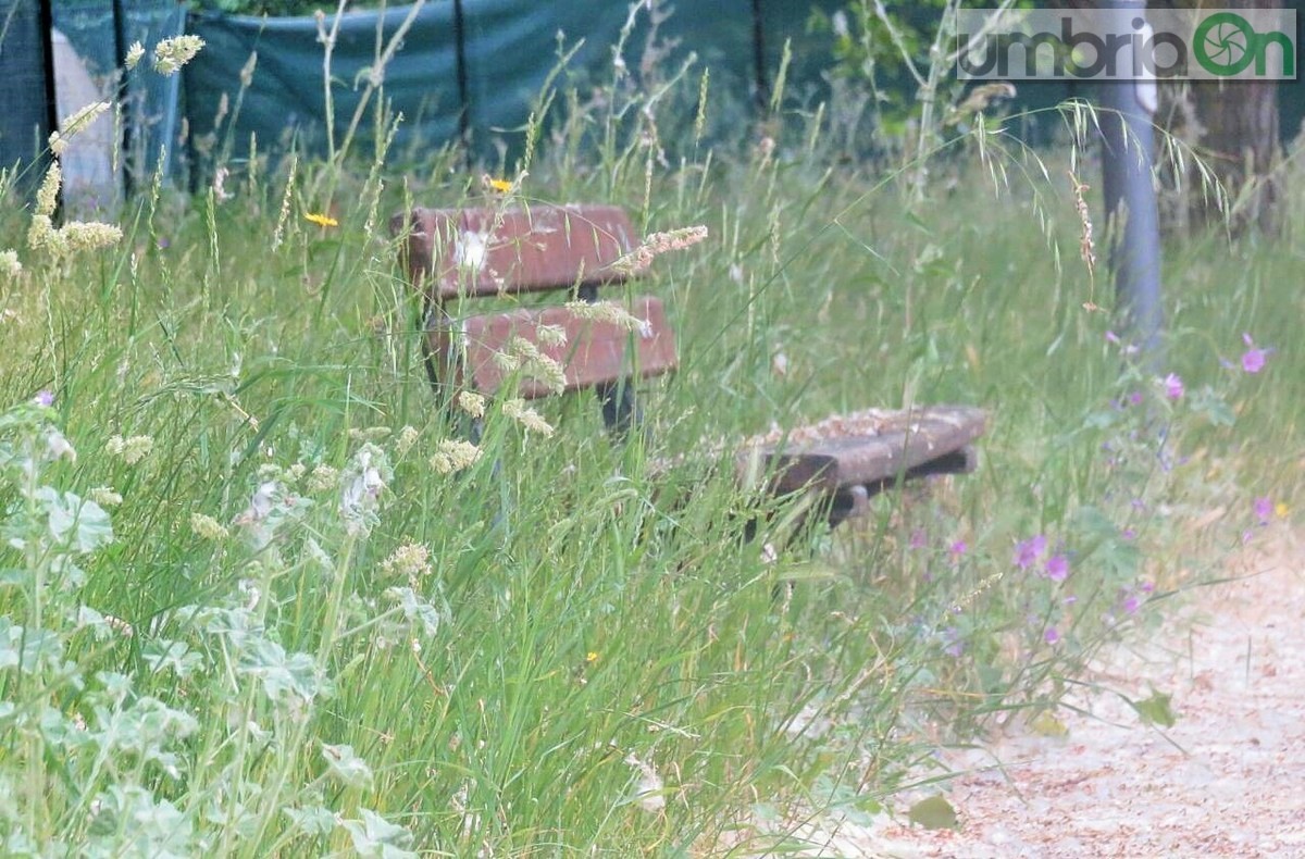 Rifiuti, degrado, sporcizia parco comunale San Carlo, Terni - 6 maggio 2017 (3)