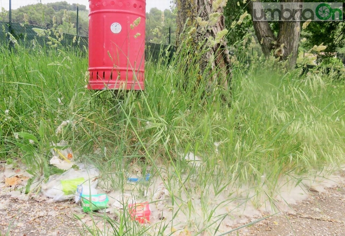 Rifiuti, degrado, sporcizia parco comunale San Carlo, Terni - 6 maggio 2017 (4)