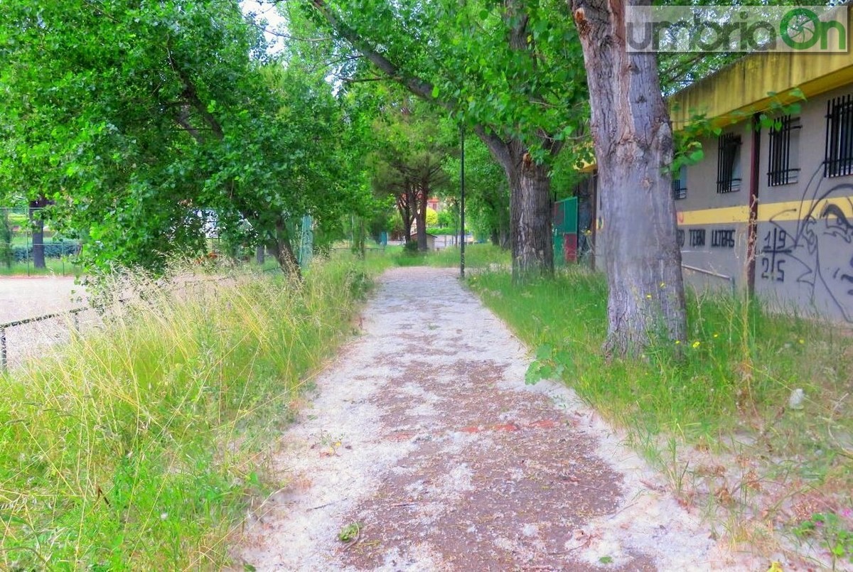 Rifiuti, degrado, sporcizia parco comunale San Carlo, Terni - 6 maggio 2017 (7)