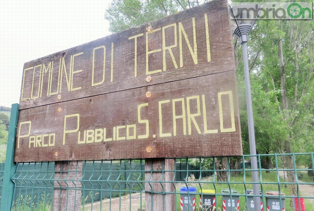 Rifiuti, degrado, sporcizia parco comunale San Carlo, Terni - 6 maggio 2017 (9)