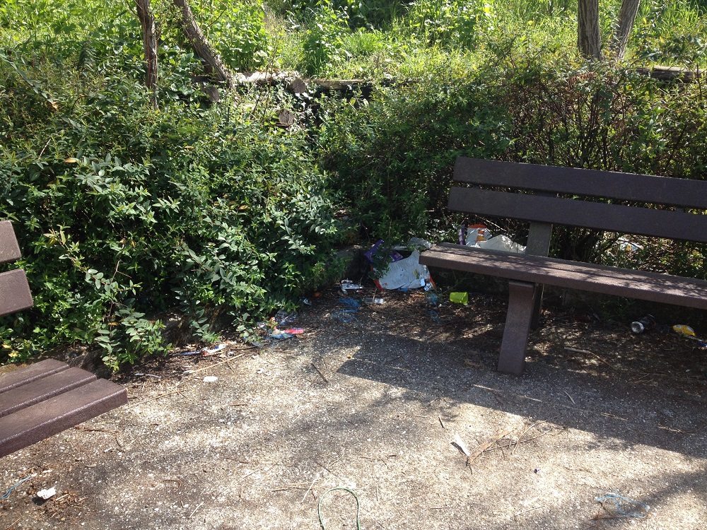 Un parco nel degrado