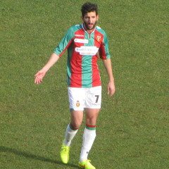 Bologna-Ternana 0-0, le ‘Fere’ fermano i felsinei