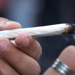 Cannabis terapeutica, Perugia dice sì