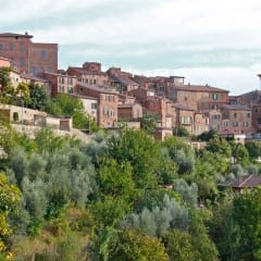 Città della Pieve: «No alle biomasse»