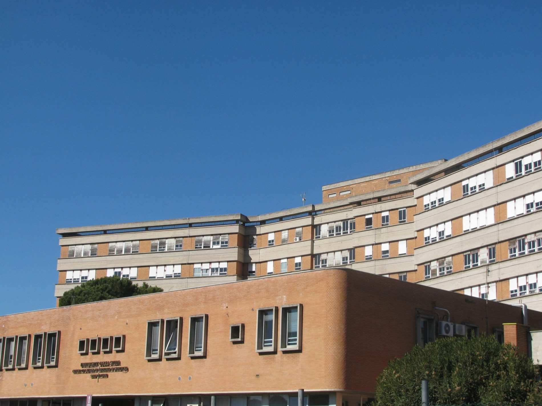 L'università di medicina di Terni