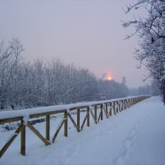 Meteo, Prati di Stroncone sotto la neve