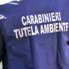 Mazzette a Ischia: il ternano si difende