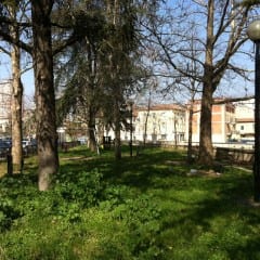Terni, boato nel parco: forse una ragazzata