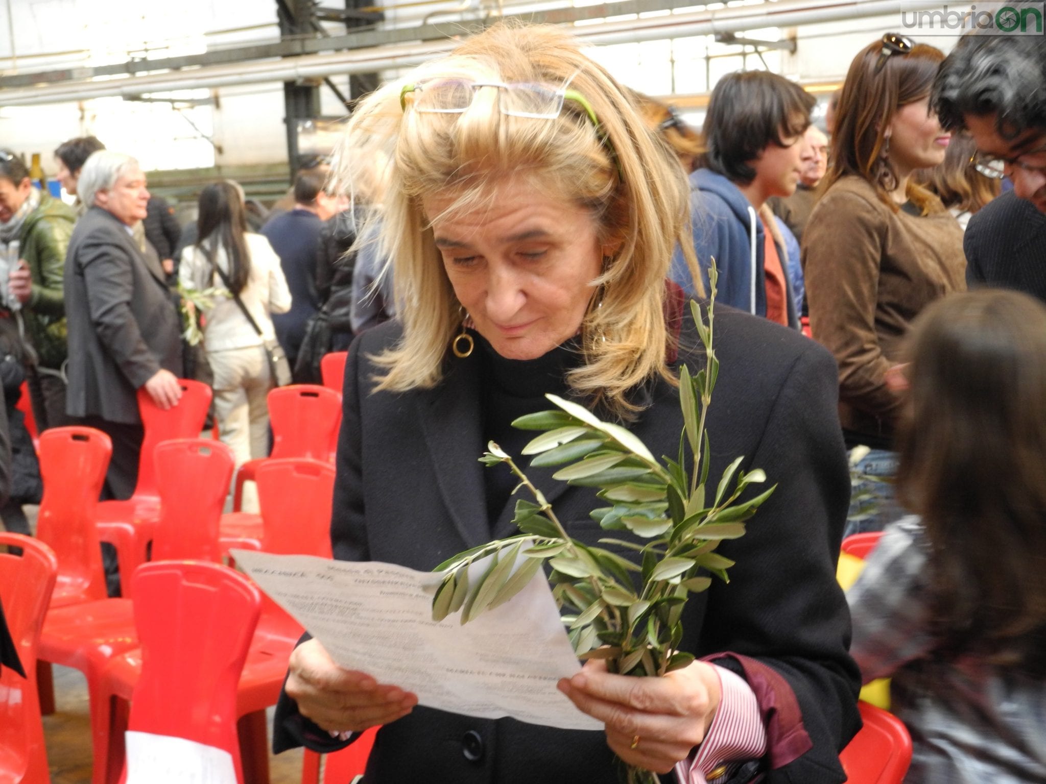 Nessun ramoscello di ulivo da Lucia Morselli