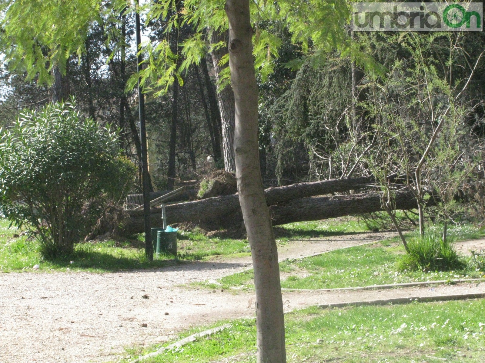 Il parco 'Rosselli'