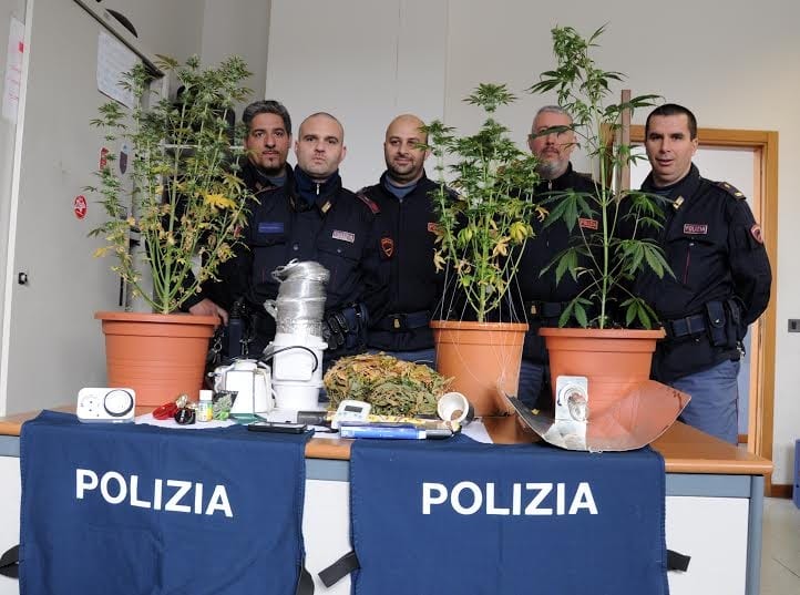 La marijuana sequestrata