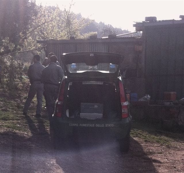 La Forestale in azione